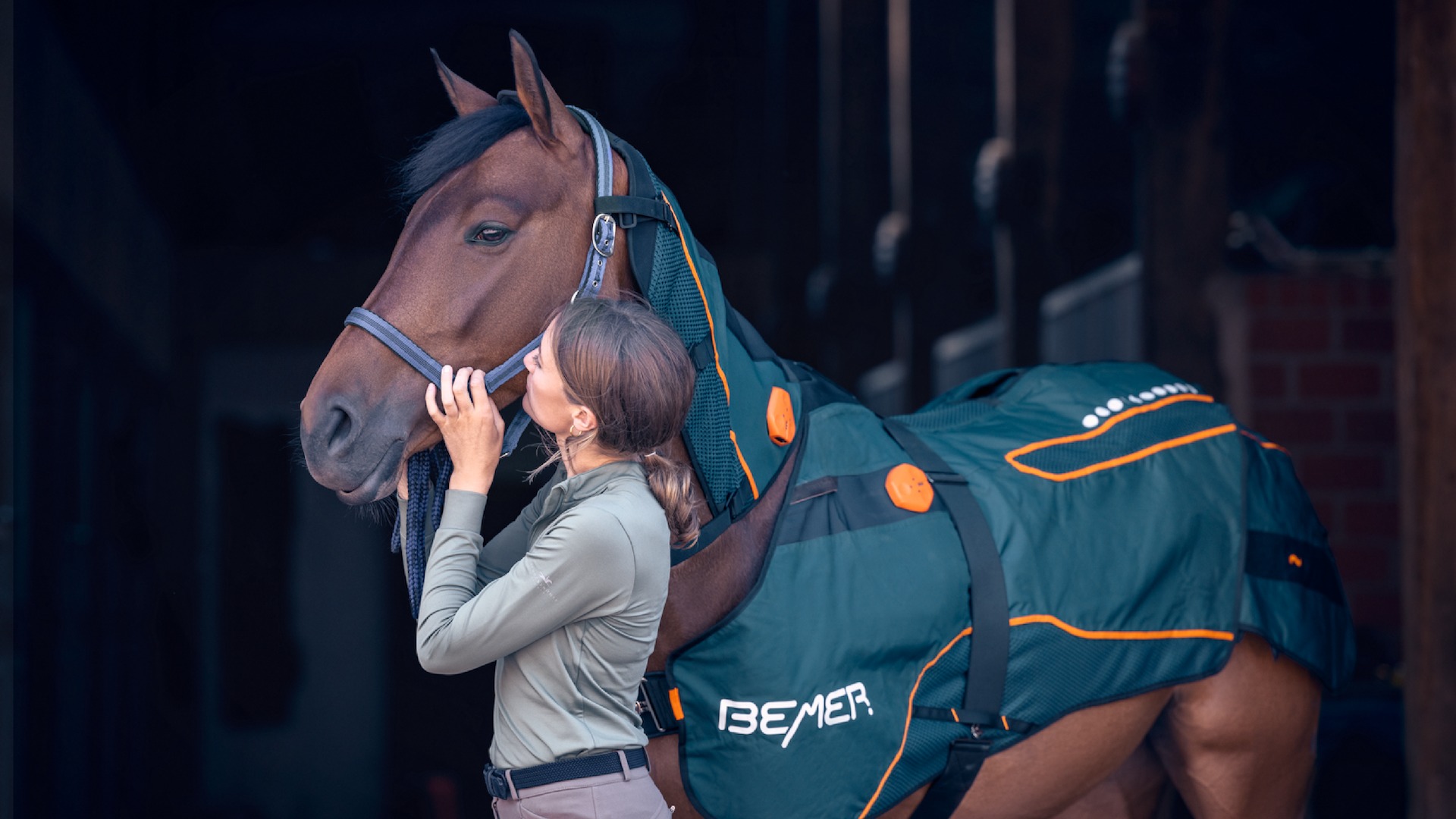 Used Equine Therapy