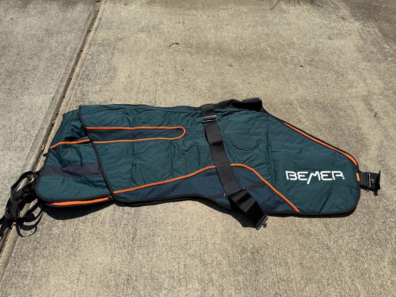 BEMER HORSE BLANKET - Image 2