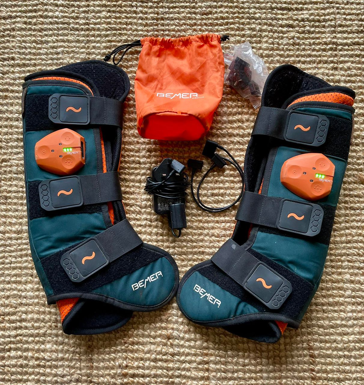 BEMER HORSE BLANKET - Image 2