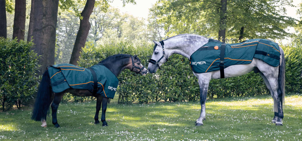 Equine therapy background