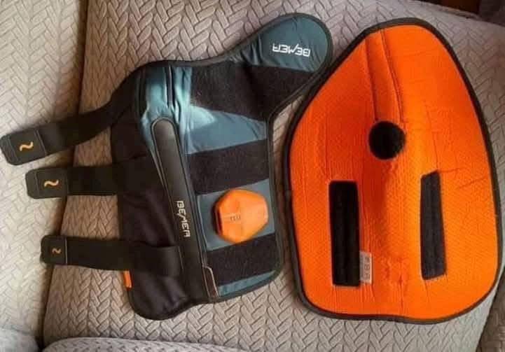 BEMER Complete Horse Set (Fully Equipped, Excellent Condition) - Image 8