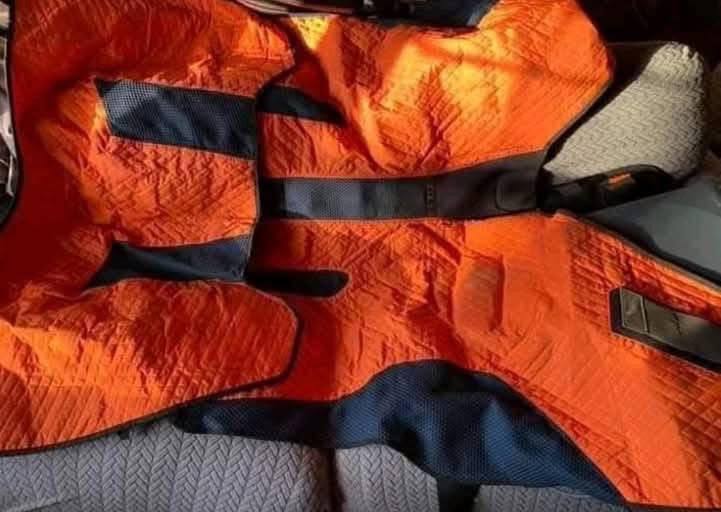 BEMER Complete Horse Set (Fully Equipped, Excellent Condition) - Image 7
